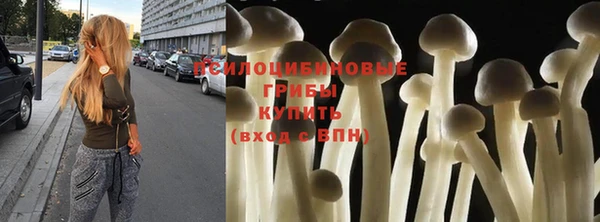 герыч Магас