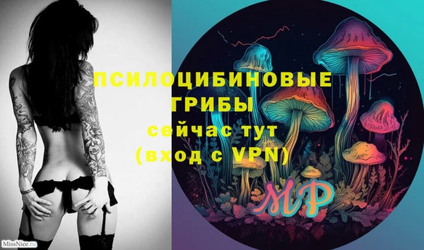индика Лиски