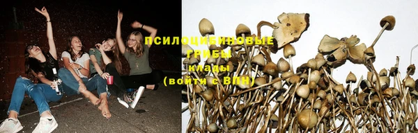 герыч Магас