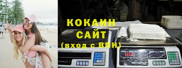 индика Лиски