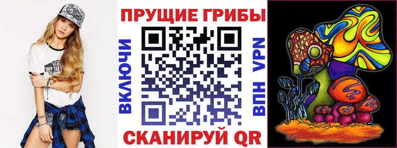 цена наркотик  Новая Усмань  Псилоцибиновые грибы мицелий 